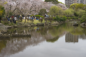 ちょっと足をのばして隅田川沿いの隅田公園★